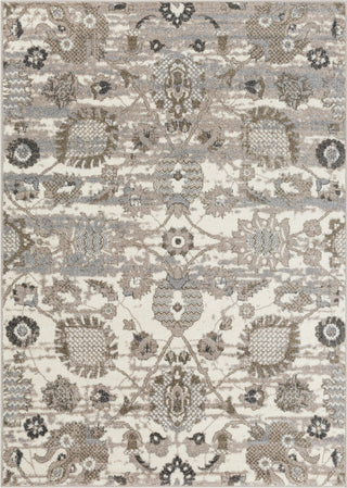 Surya Agra AGR-2300 Camel Taupe Medium Gray Charcoal White Area Rug Mirror main image