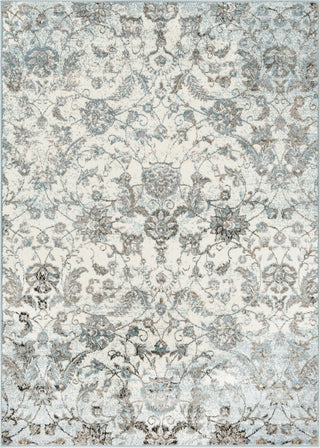 Surya Agra AGR-2302 Denim Camel Taupe Medium Gray Charcoal White Black Area Rug Mirror main image