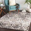 Surya Agra AGR-2304 Area Rug Room Scene Feature