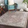 Surya Agra AGR-2306 Area Rug Room Scene Feature
