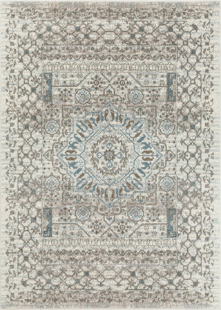 Surya Agra AGR-2310 Camel Taupe Denim Medium Gray White Area Rug Mirror main image