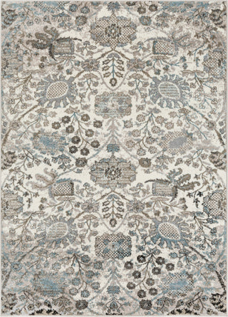 Surya Agra AGR-2312 Taupe Camel Denim Medium Gray Charcoal White Black Area Rug Mirror main image