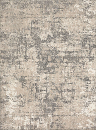 Karastan Epiphany Agusti Frost Grey Area Rug Main Image