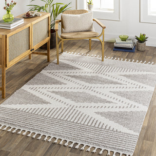 Surya Alhambra AHB-2302 Area Rug Room Scene