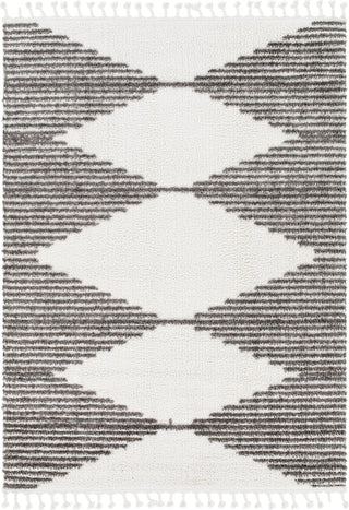 Surya Alhambra AHB-2303 Area Rug Main Image 5'3"x7' 