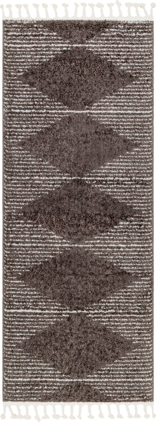 Surya Alhambra AHB-2304 Area Rug 2'7"x7'3" Runner 