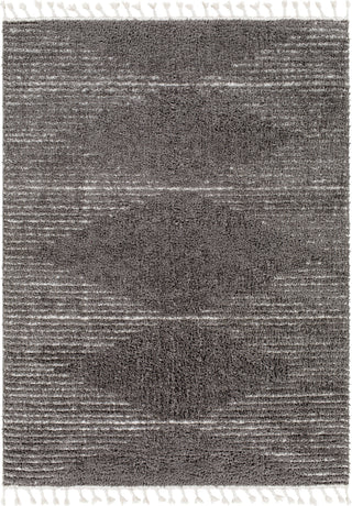 Surya Alhambra AHB-2304 Area Rug Main Image 5'3"x7'