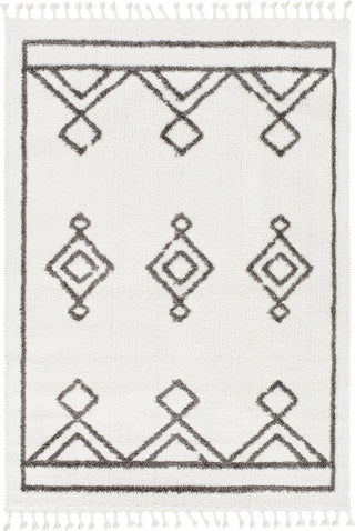 Surya Alhambra AHB-2306 Area Rug Main Image  5'3"x7'