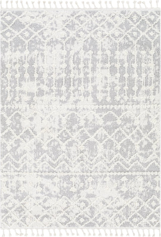 Surya Alhambra AHB-2307 Area Rug Main Image 5'3"x7'