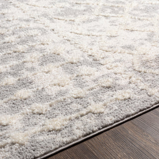 Surya Alhambra AHB-2307 Area Rug Edge 