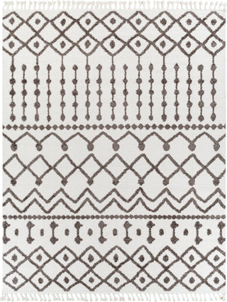 Surya Alhambra AHB-2308 Area Rug 7'10"x10' 