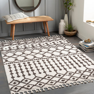 Surya Alhambra AHB-2308 Area Rug Room Scene Feature