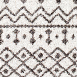 Surya Alhambra AHB-2308 Area Rug Close Up 