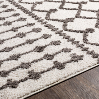 Surya Alhambra AHB-2308 Area Rug Edge 