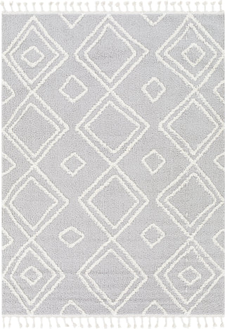 Surya Alhambra AHB-2310 Area Rug Main Image 5'3"x7'