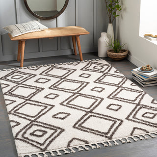 Surya Alhambra AHB-2311 Area Rug Room Scene Featured 