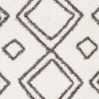 Surya Alhambra AHB-2311 Area Rug Close Up 