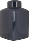 Surya Aegean AHJ-900 Jar Jar Small 8.5 X 8.5 X 12.5 inches