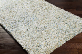 Surya Anaheim AHM-2300 Area Rug Corner Shot