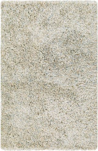 Surya Anaheim AHM-2300 Area Rug main image