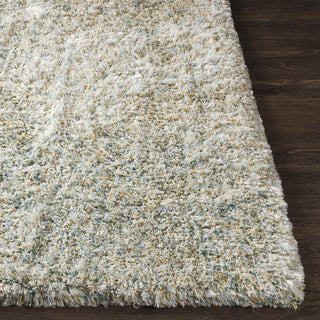 Surya Anaheim AHM-2300 Area Rug 