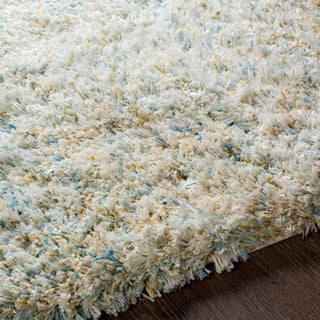 Surya Anaheim AHM-2300 Area Rug Detail