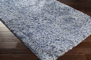 Surya Anaheim AHM-2301 Area Rug Corner Shot