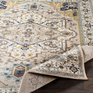 Surya Athens AHN-2301 Area Rug 