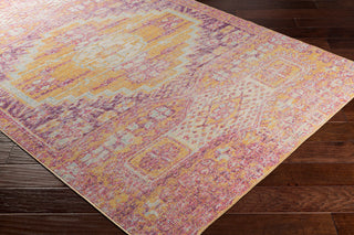 Surya Antioch AIC-2300 Area Rug Corner Image