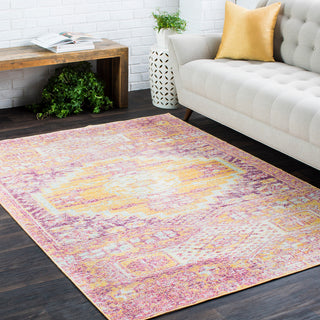 Surya Antioch AIC-2300 Area Rug Room Image Feature