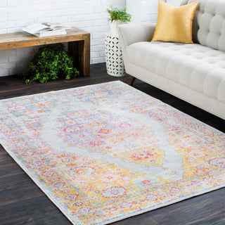 Surya Antioch AIC-2302 Area Rug Room Image Feature