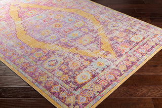 Surya Antioch AIC-2303 Area Rug Corner Image