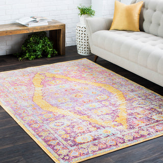 Surya Antioch AIC-2303 Area Rug Room Image Feature