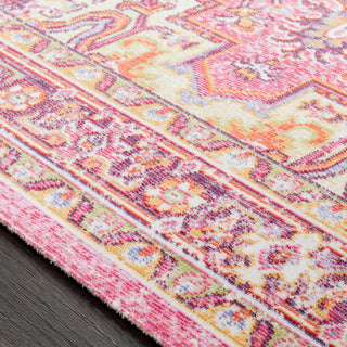 Surya Antioch AIC-2318 Area Rug Texture Image