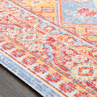 Surya Antioch AIC-2320 Area Rug Texture Image