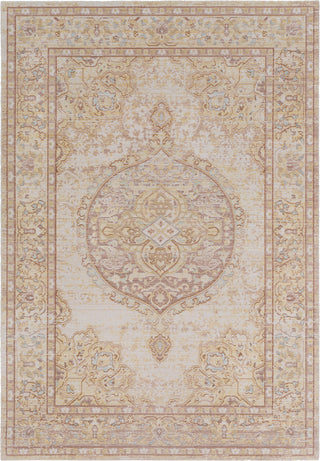 Surya Antioch AIC-2323 Area Rug main image