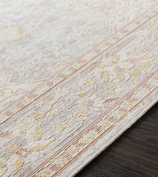 Surya Antioch AIC-2324 Area Rug Texture Image