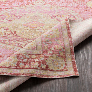 Surya Antioch AIC-2325 Bright Pink Yellow White Garnet Saffron Sea Foam Medium Gray Camel Area Rug Pile Image