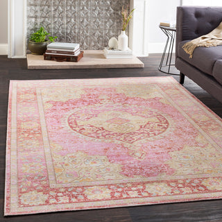 Surya Antioch AIC-2325 Area Rug Room Image Feature