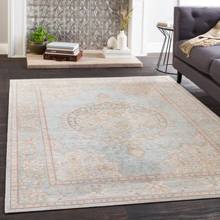 Surya Antioch AIC-2326 Area Rug Room Image Feature