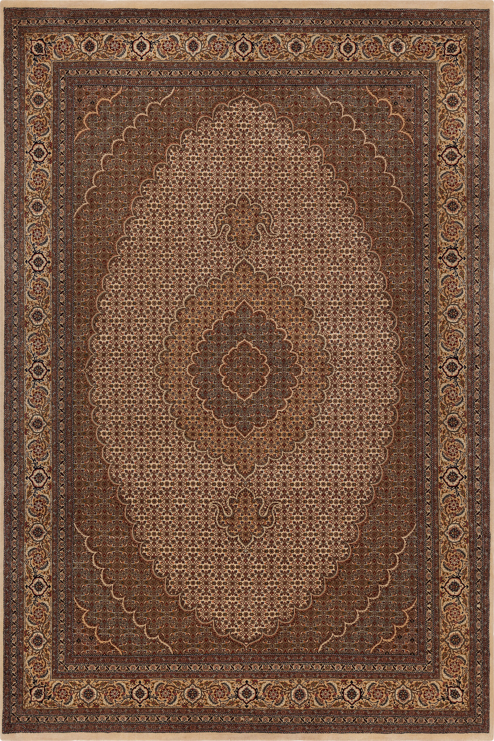 Chandra Ailsa AIL-50301 Area Rug