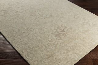 Surya Ashville AIL-1000 Area Rug Closeup Feature