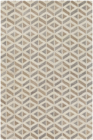 Surya Ashville AIL-1005 Neutral/Brown Area Rug main image