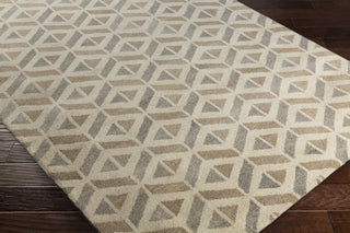 Surya Ashville AIL-1005 Area Rug Closeup Feature