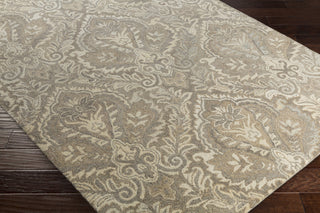 Surya Ashville AIL-1008 Area Rug Closeup Feature