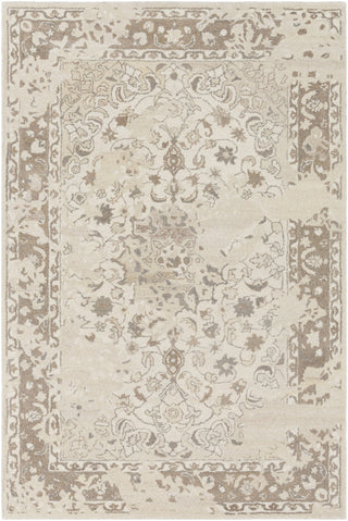 Surya Ashville AIL-1009 Neutral/Brown Area Rug main image