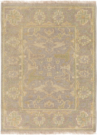 Surya Ainsley AIN-1000 Light Gray Area Rug 2' x 3'