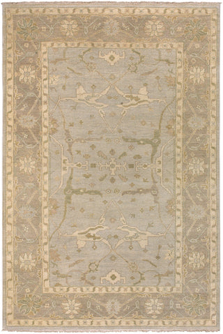 Surya Ainsley AIN-1000 Light Gray Area Rug 5'6'' x 8'6''