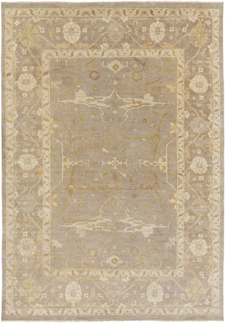 Surya Ainsley AIN-1000 Light Gray Area Rug 9' x 13'