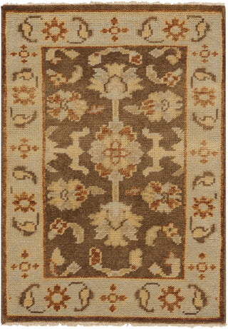 Surya Ainsley AIN-1009 Mocha Area Rug 2' x 3'